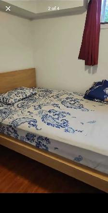 Room for rent - Photo 3