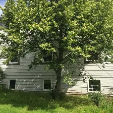 3 Bedrooms Spacious and Bright Apartments for rent in Antigonish - Photo 4