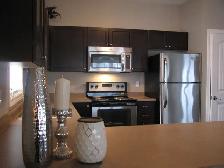 Luxury 3 bedroom Executive Suite Apartment in Guelph - Photo 5