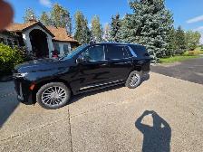 2023 Cadillac Escalade Premium Luxury Platinum - Photo 3