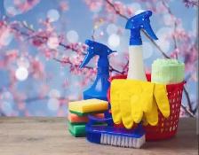 cleaner needed