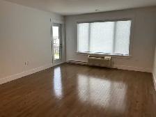 104-50 Lian St., 2Bed   Den, First Floor, Available October 1! - Photo 9
