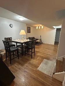 Basement Suite for Rent - Photo 4