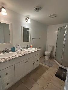Basement Suite for Rent - Photo 8