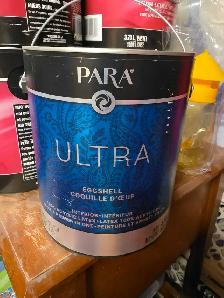 Paint for sale