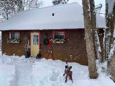 Chalet Rustique à louer - Photo 2