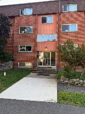 Newly renovated apartment in Uptown Waterloo
