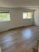 Newly renovated apartment in Uptown Waterloo - Photo 7