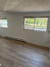 Newly renovated apartment in Uptown Waterloo - Photo 8
