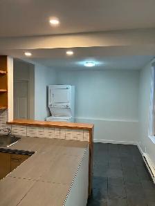 4 bedroom/ de Lorimier/ Park  Lafontaine - Photo 4