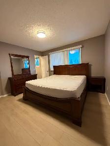 Bi-Level 3 Bed 2 Bath House for Rent in Falconridge, Calgary, AB - Photo 3