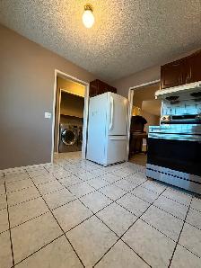 Bi-Level 3 Bed 2 Bath House for Rent in Falconridge, Calgary, AB - Photo 7