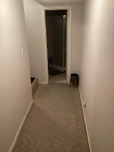 Basement With Full Bathroom $850 - October 1 - Photo 3