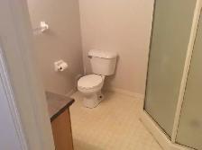 Basement With Full Bathroom $850 - October 1 - Photo 4