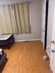 Room for rent in Mississauga - Photo 3