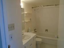One Bedroom Apartment Next to Seawall - Water View - Photo 6