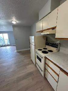 One Bedroom available now in Minnow Lake