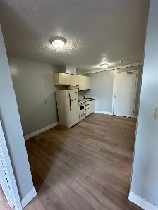 One Bedroom available now in Minnow Lake - Photo 3