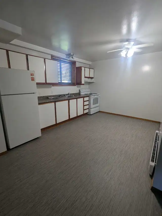 1 bdrm basement apt