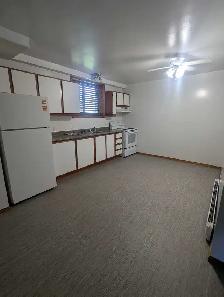1 bdrm basement apt