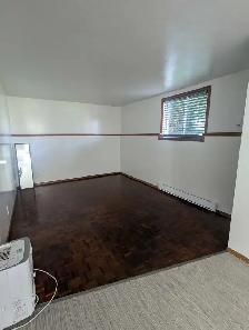 1 bdrm basement apt - Photo 2