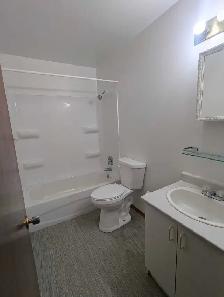 1 bdrm basement apt - Photo 3