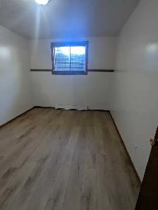 1 bdrm basement apt - Photo 4