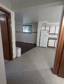 1 bdrm basement apt - Photo 5