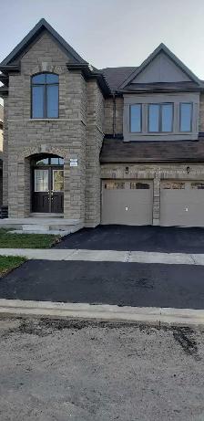 bachelor's basement for rent