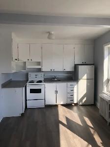 One Bedroom Apartment for rent $1575.00 - Photo 10