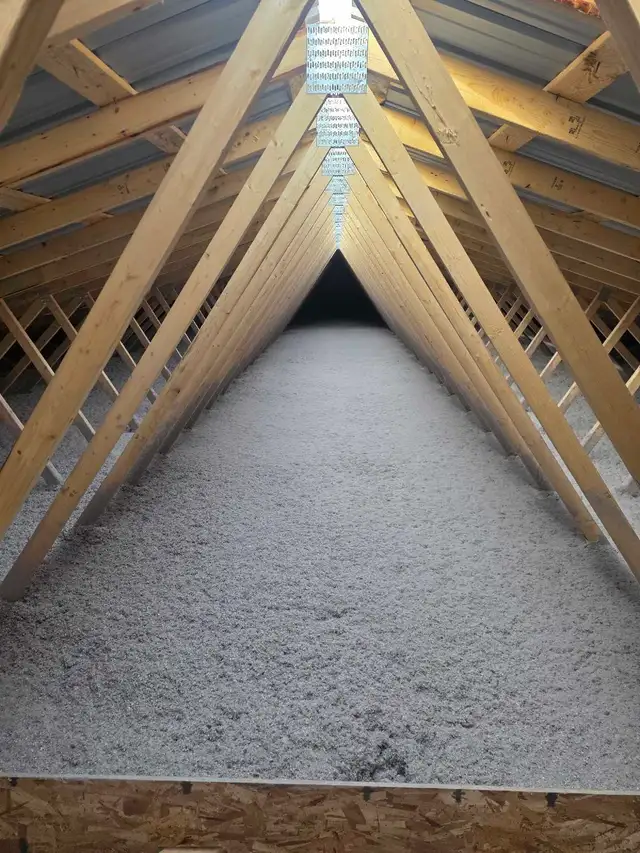 looking for attic insulator