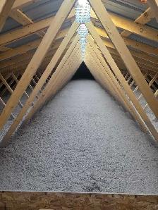 looking for attic insulator