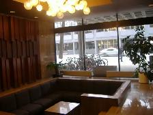 Centretown Bachelor Near LRT – Nov. 1 $1449