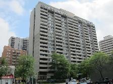 Centretown Bachelor Near LRT – Nov. 1 $1449 - Photo 2