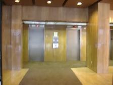 Centretown Bachelor Near LRT – Nov. 1 $1449 - Photo 5