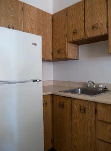 Centretown Bachelor Near LRT – Nov. 1 $1449 - Photo 7