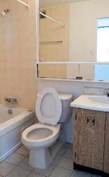 Centretown Bachelor Near LRT – Nov. 1 $1449 - Photo 9