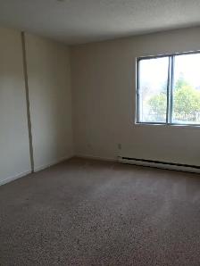 November 1st 2 BEDROOM - $1699 - Photo 12