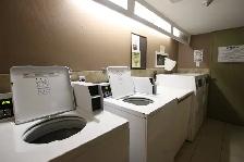 Beautiful 1 Bdm Condo, Manor Park, Pkg Incl, Sept/Oct - Photo 14