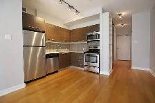 Bright & Spacious 1 Bedroom Den, Balcony, Centretown, Sept/Oct - Photo 2