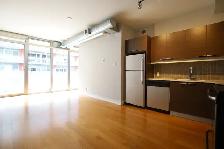 Bright & Spacious 1 Bedroom Den, Balcony, Centretown, Sept/Oct - Photo 3