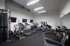 Bright & Spacious 1 Bedroom Den, Balcony, Centretown, Sept/Oct - Photo 14