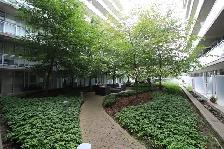 Bright & Spacious 1 Bedroom Den, Balcony, Centretown, Sept/Oct - Photo 15