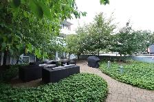 Bright & Spacious 1 Bedroom Den, Balcony, Centretown, Sept/Oct - Photo 16
