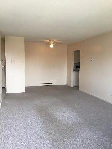 1 BEDROOM FOR $1449! - NOVEMBER 1st MOVE IN