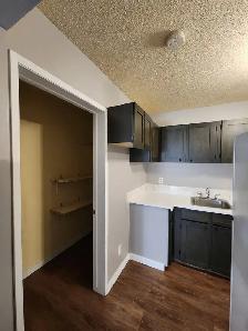 Beautiful New Renovated Townhouse In Highland Green - Photo 3