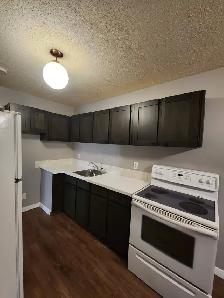 Beautiful New Renovated Townhouse In Highland Green - Photo 6