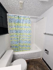 Beautiful New Renovated Townhouse In Highland Green - Photo 10