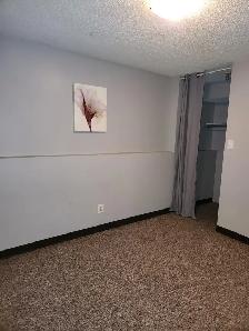 Beautiful New Renovated Townhouse In Highland Green - Photo 13