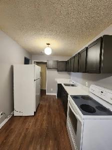 Beautiful New Renovated Townhouse In Highland Green - Photo 14